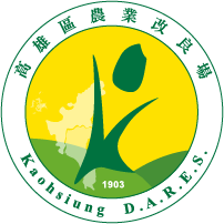 Tofu made of green soybeans debuts in Taiwan