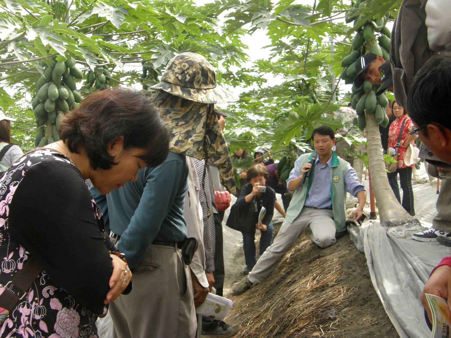 Countryside demonstration workshops