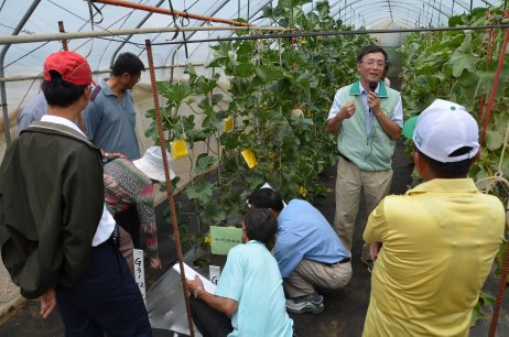 施分場長現場講解洋香瓜關鍵技術