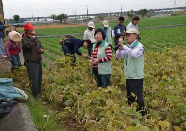 黃場長現場強調紅豆10號特性