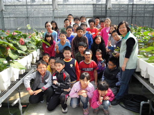 黃雅玲助研員帶領同學參觀火鶴花栽培設施
