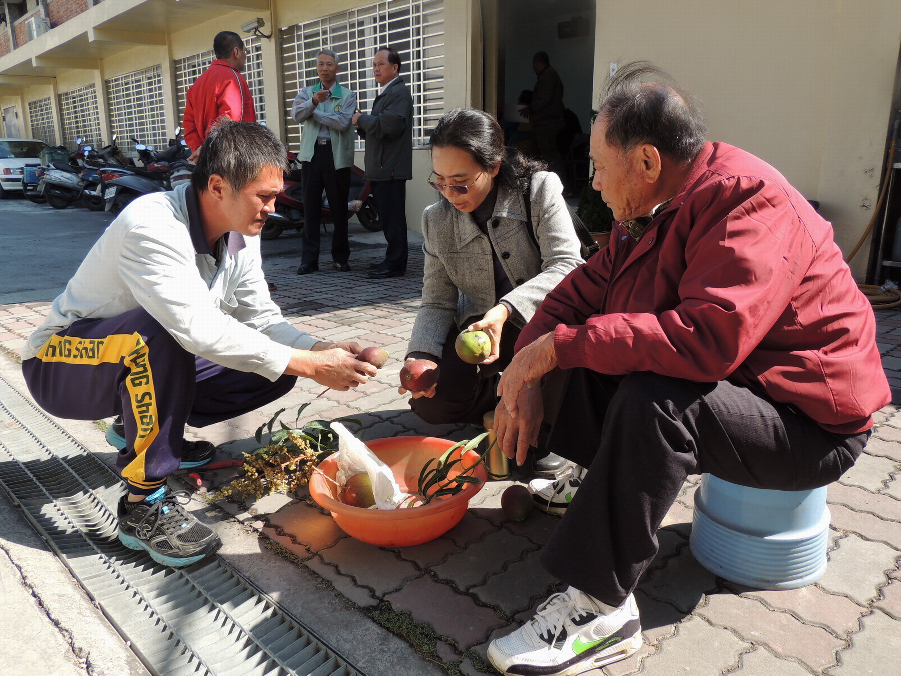 李雪如助理研究員回答農民芒果品種問題
