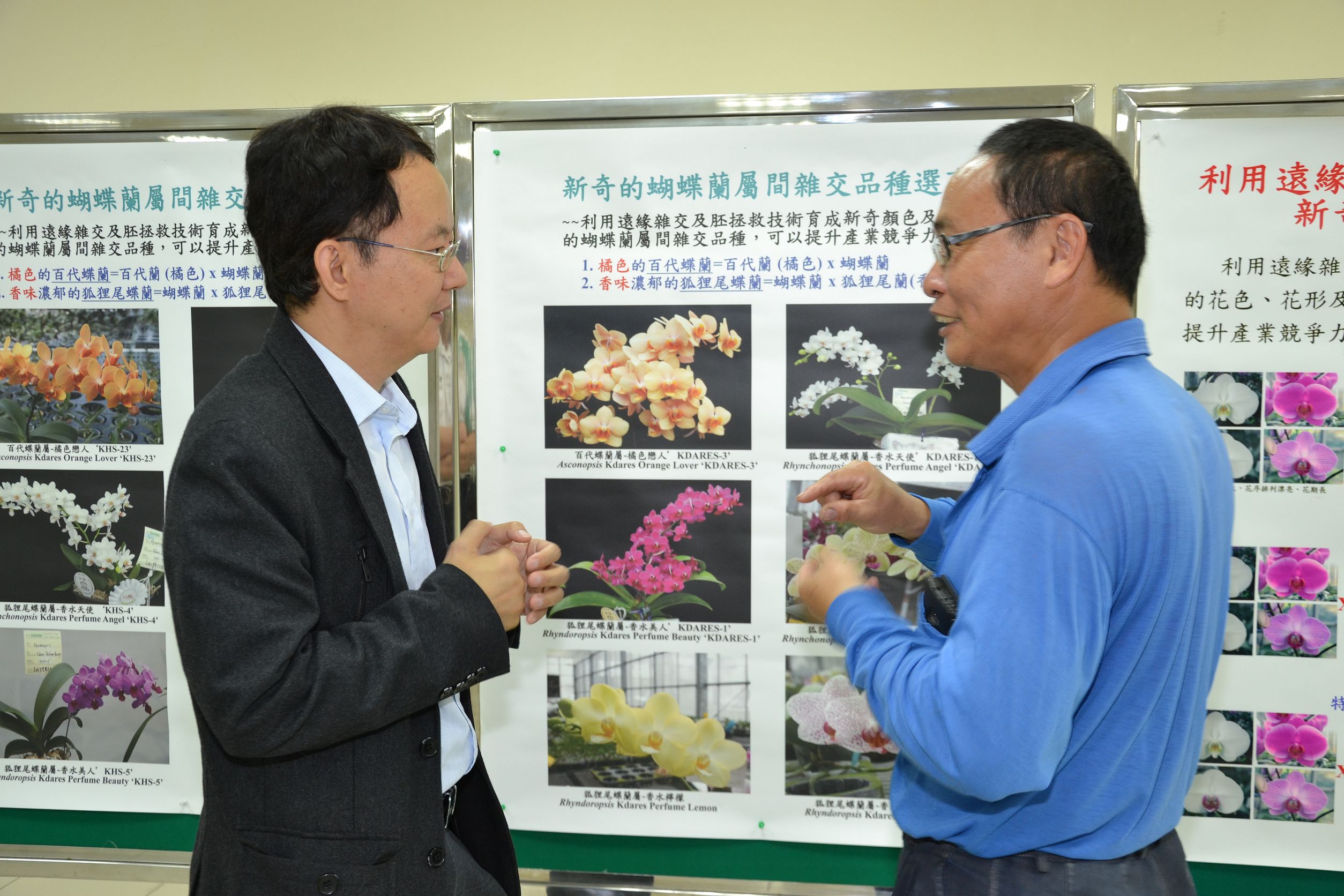 蔡奇助副研究員與業者討論嶄新蝴蝶蘭育種方向