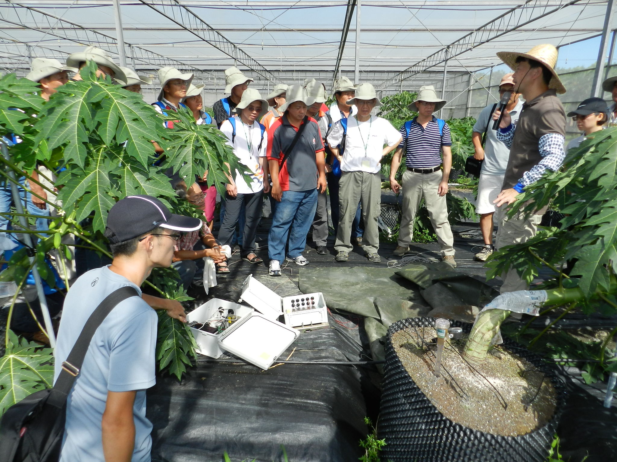 王仁晃老師介紹溫室栽培水分及養分偵測及感應系統
