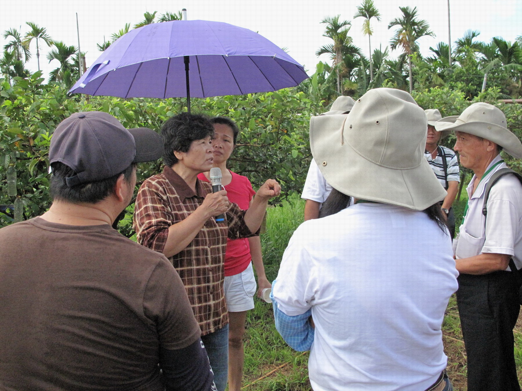 學員參觀番石榴有機農場