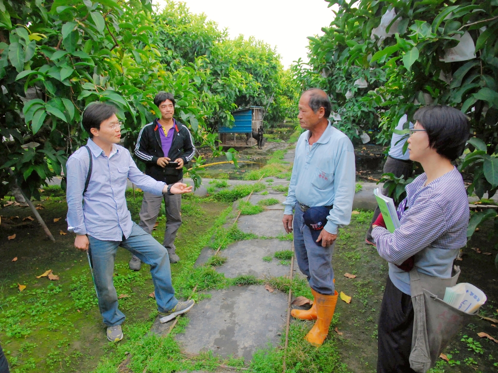 評鑑小組親臨蓮霧果園進行果園複審