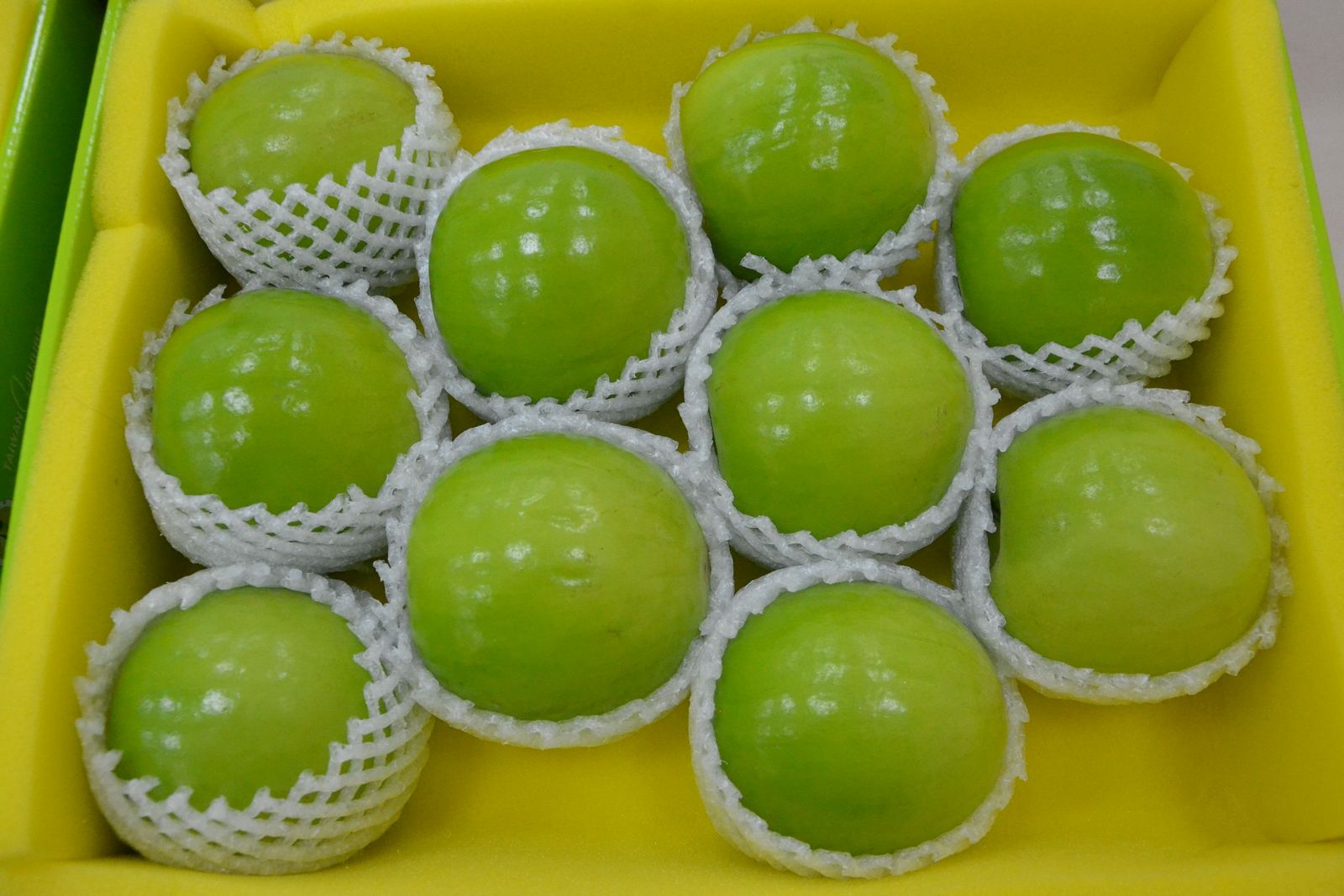 蘇文財奪冠的高雄8號「珍寶」果品每顆約250公克