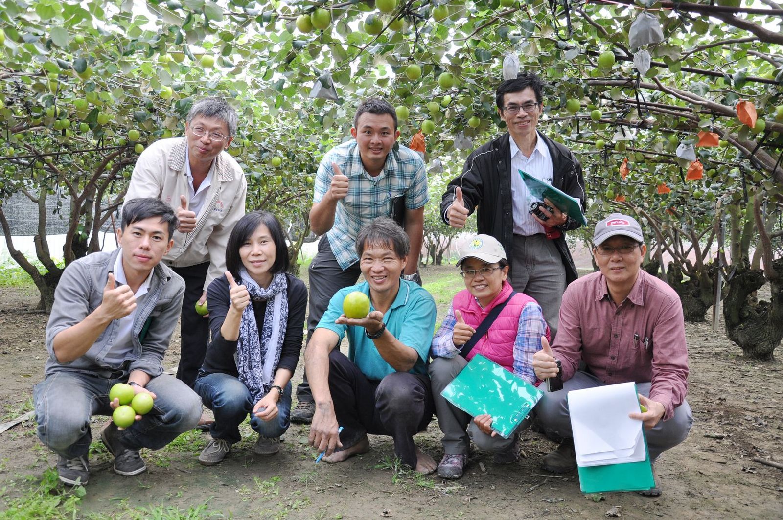 蜜棗優質果園評審團至高雄市大社區蘇文財（前中）的冠軍蜜棗果園評鑑