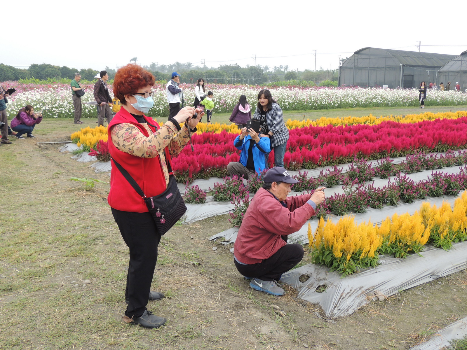來賓紛紛在景觀花卉區拍照留念