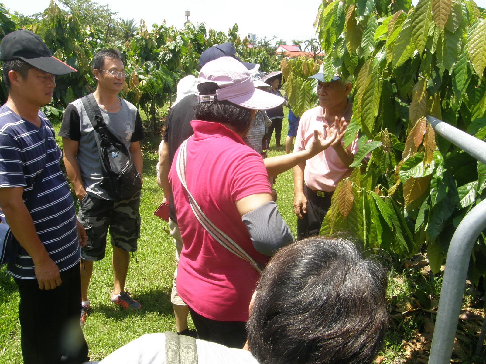 學員田區觀摩討論熱烈