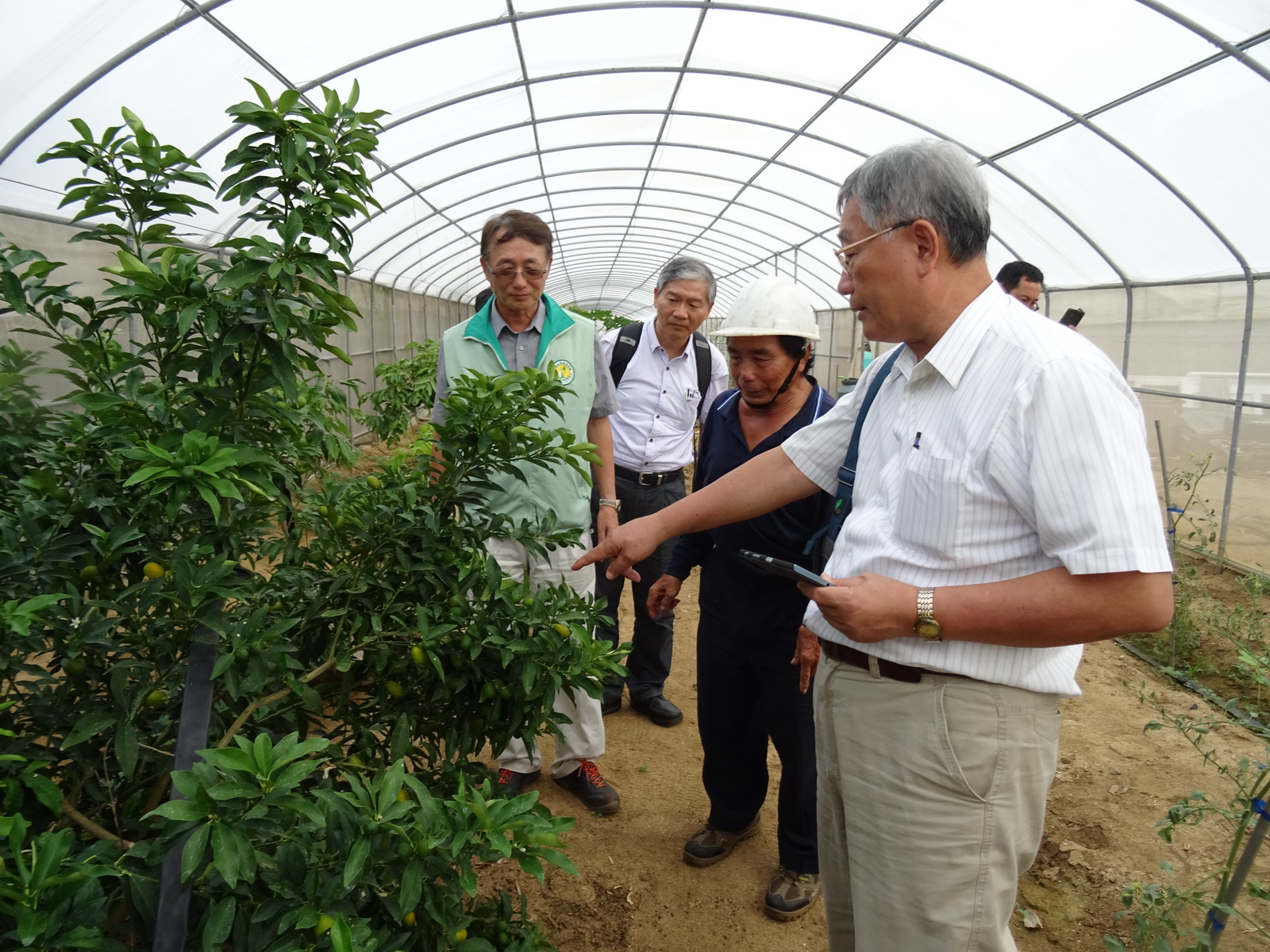 林景和場長會同訪視黃德福先生網室栽培情形
