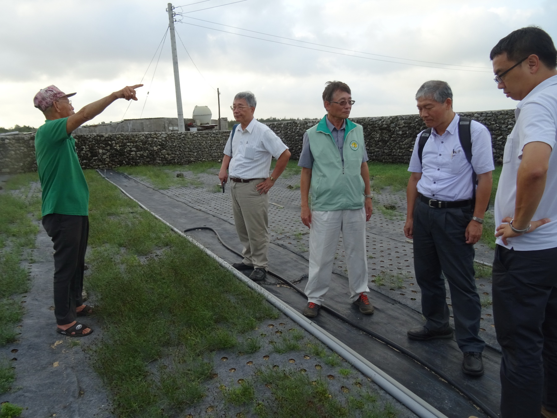 訪視不織布栽培香茹田區