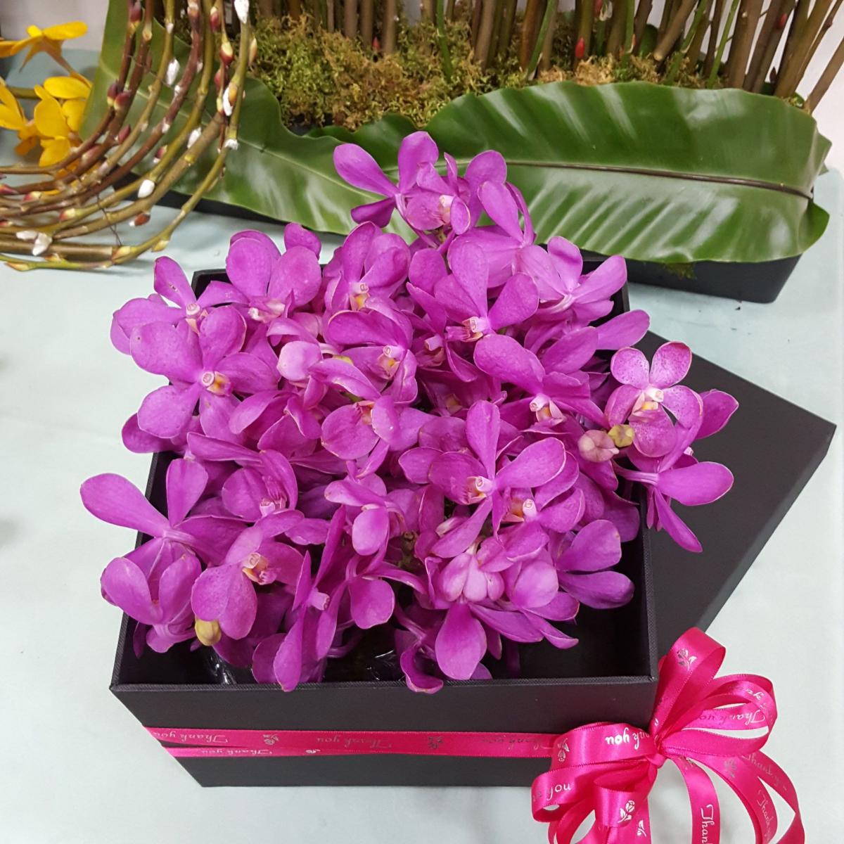 火鶴花及熱帶蘭花為高屏地區重要的外銷切花