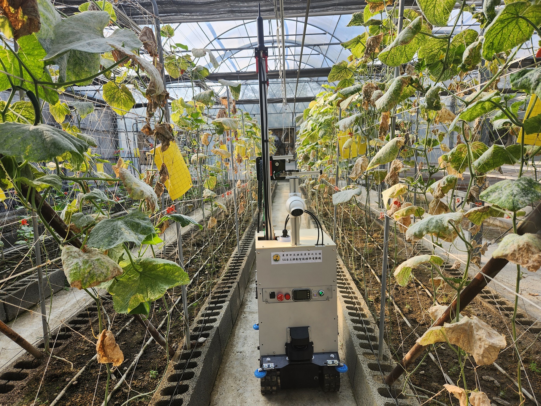 巡場拍攝作物現況情形