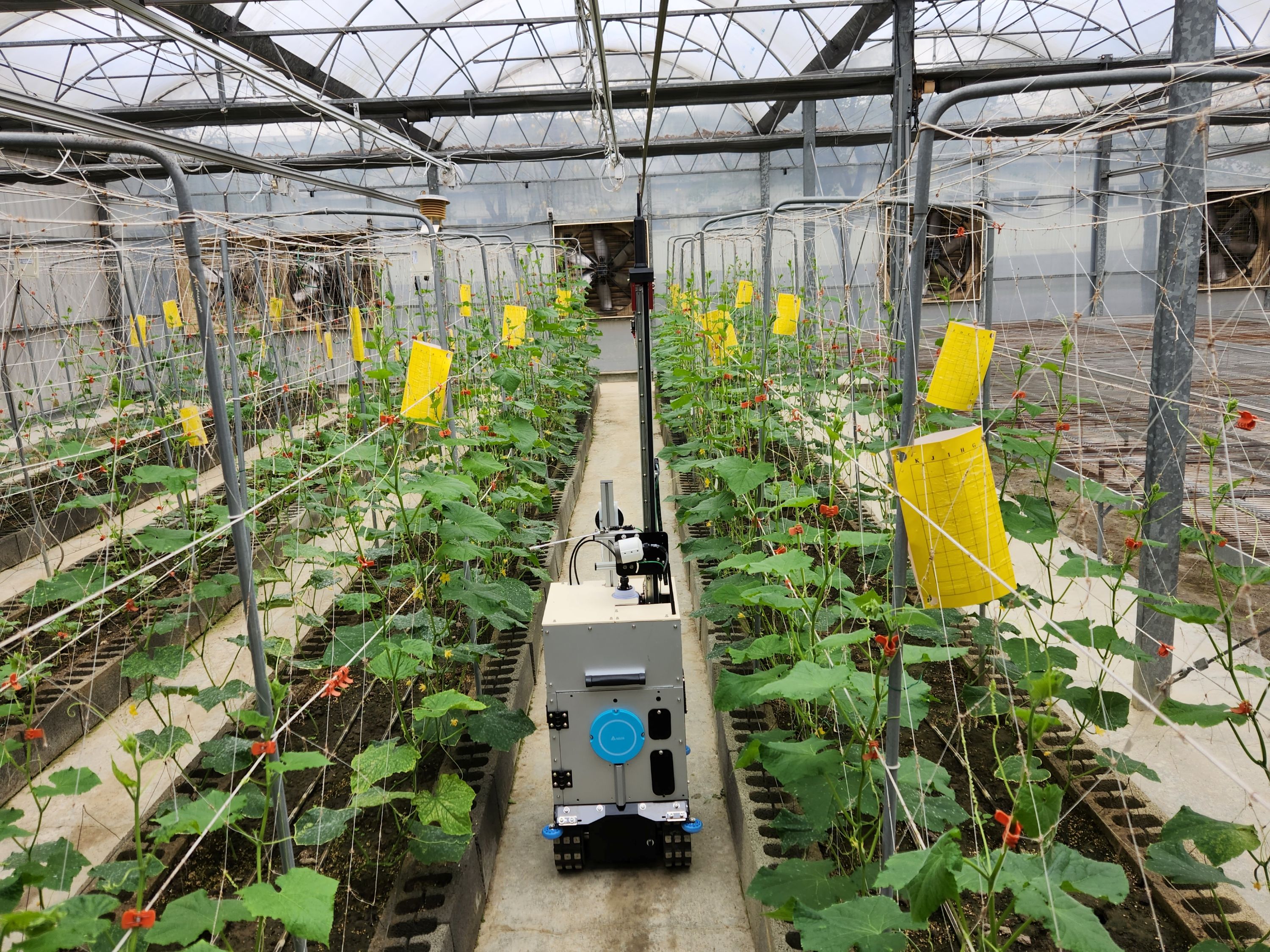 精準噴藥作業情形