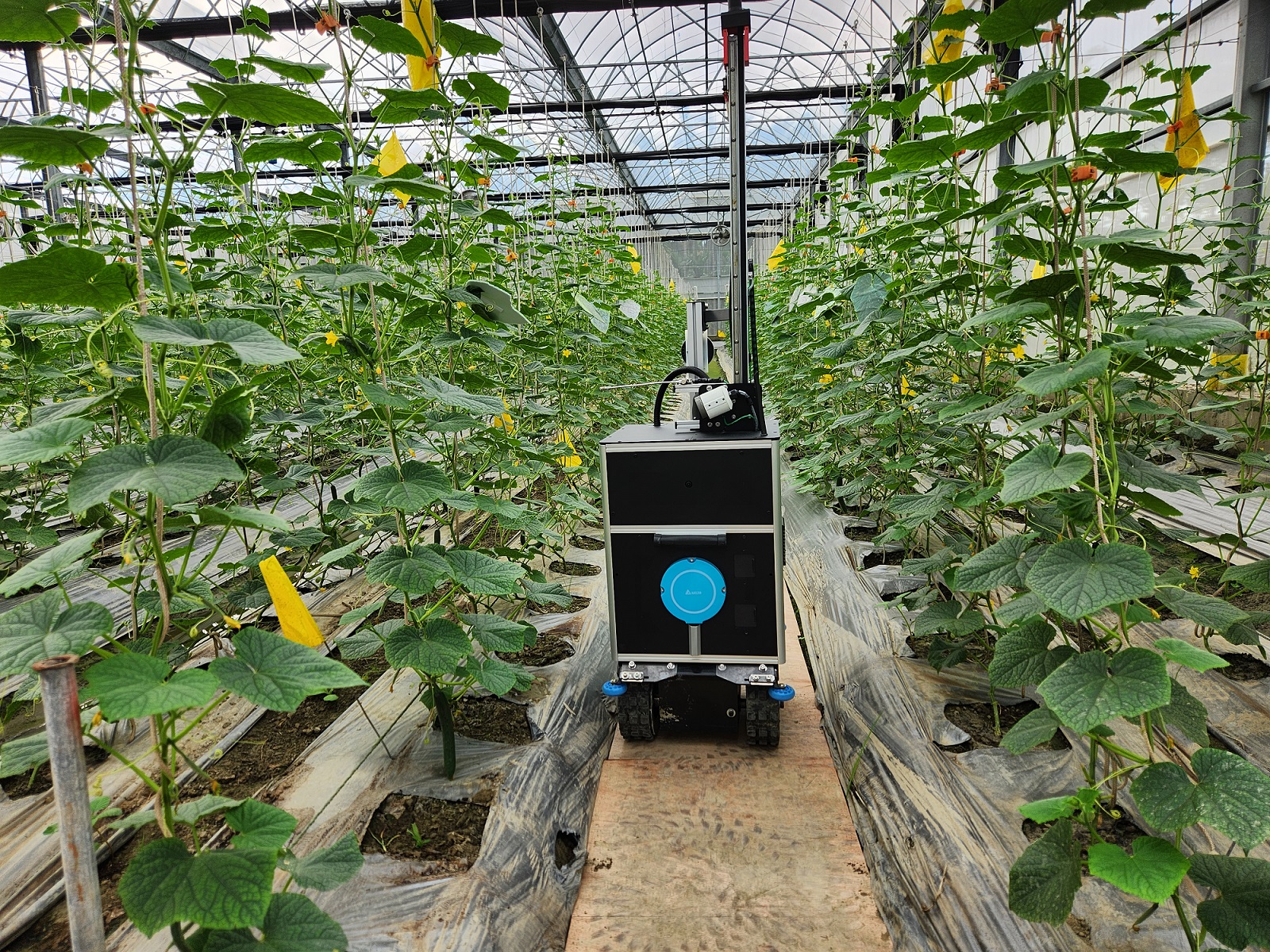 自主移動智慧病害辨識精準噴藥機