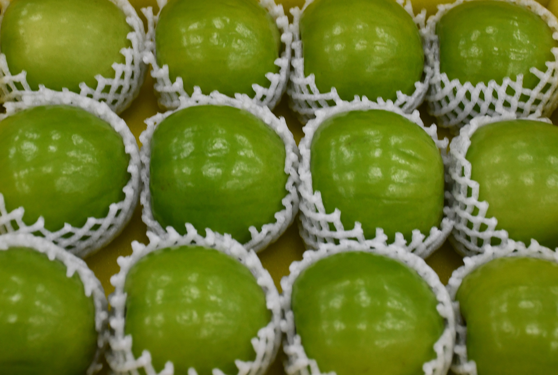 賴隆溪的冠軍棗果型碩大、外觀亮麗。