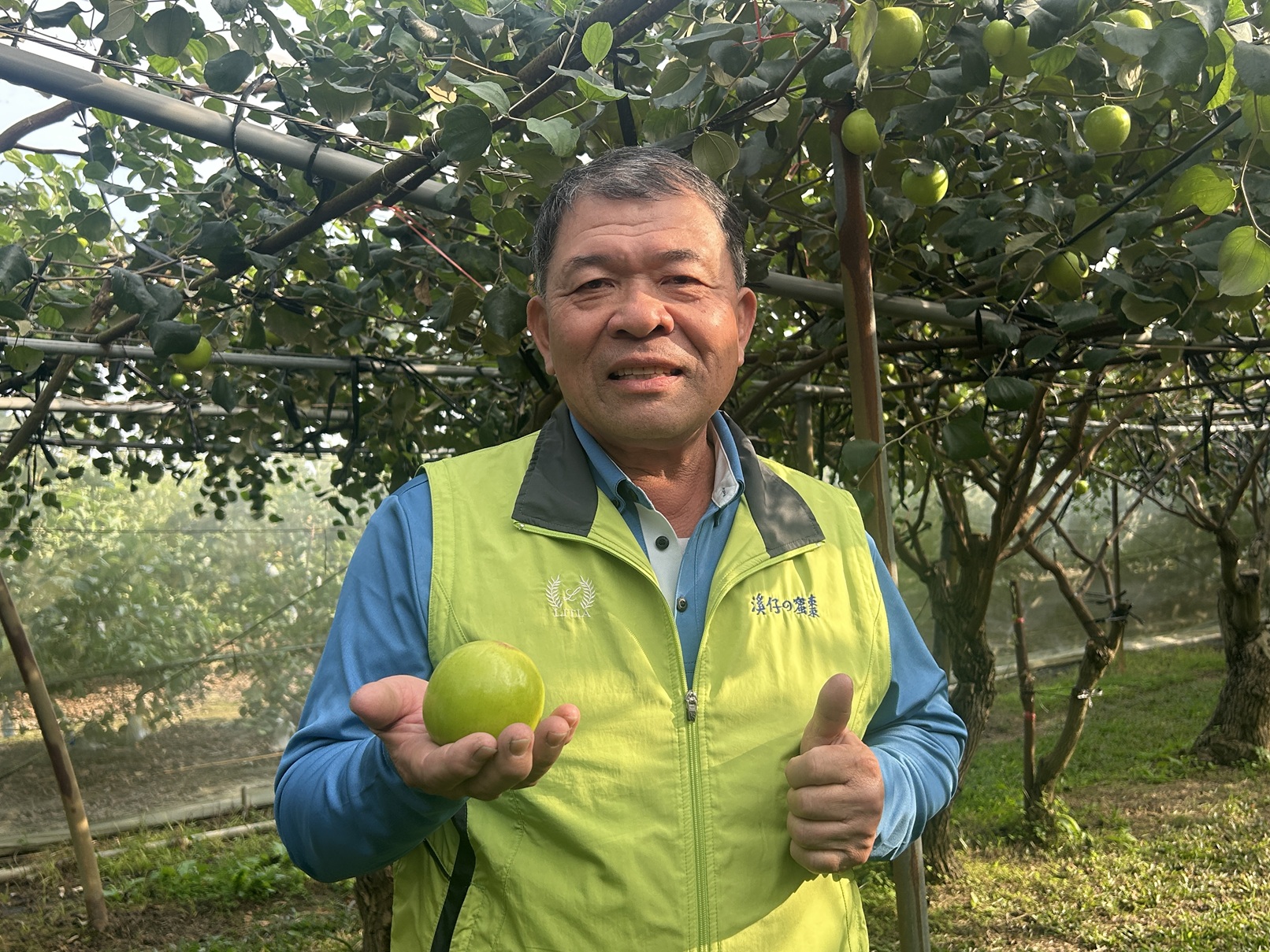 2026全國棗優質管理果園評鑑冠軍-燕巢賴隆溪農友