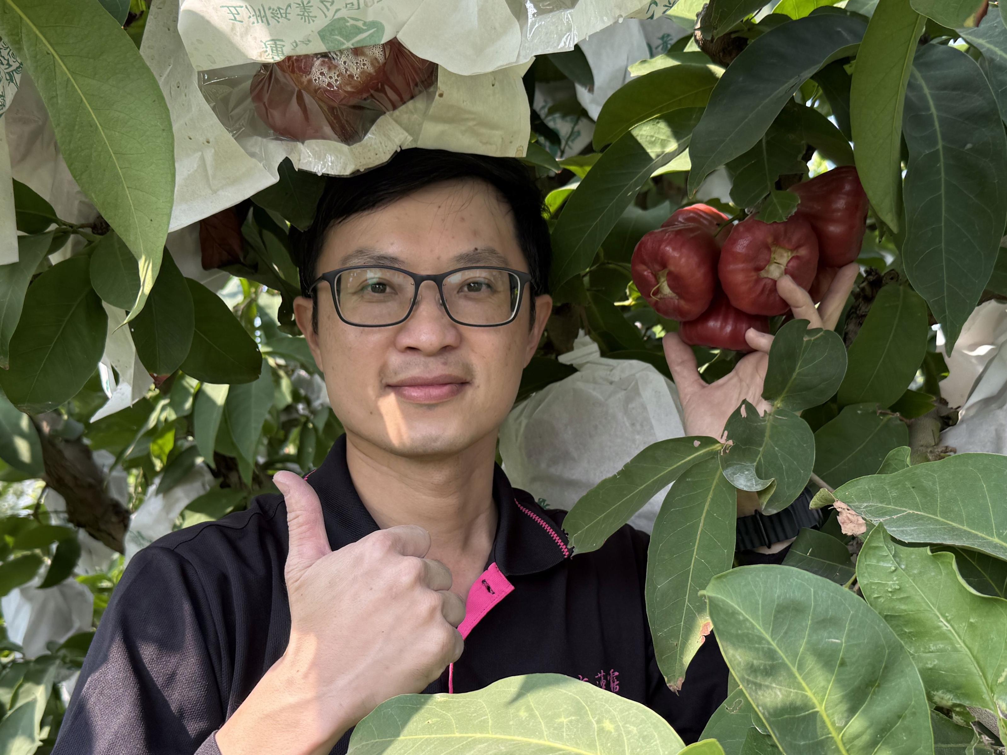 2026全國蓮霧優質管理果園評鑑冠軍-東港黃國霖農友 2026全國蓮霧優質管理果園評鑑冠軍-東港黃國霖農友