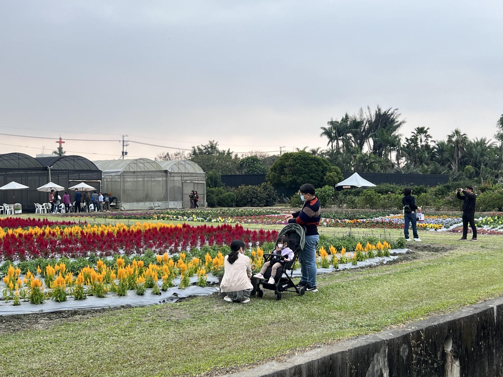 景觀花卉區～賞花、拍照打卡