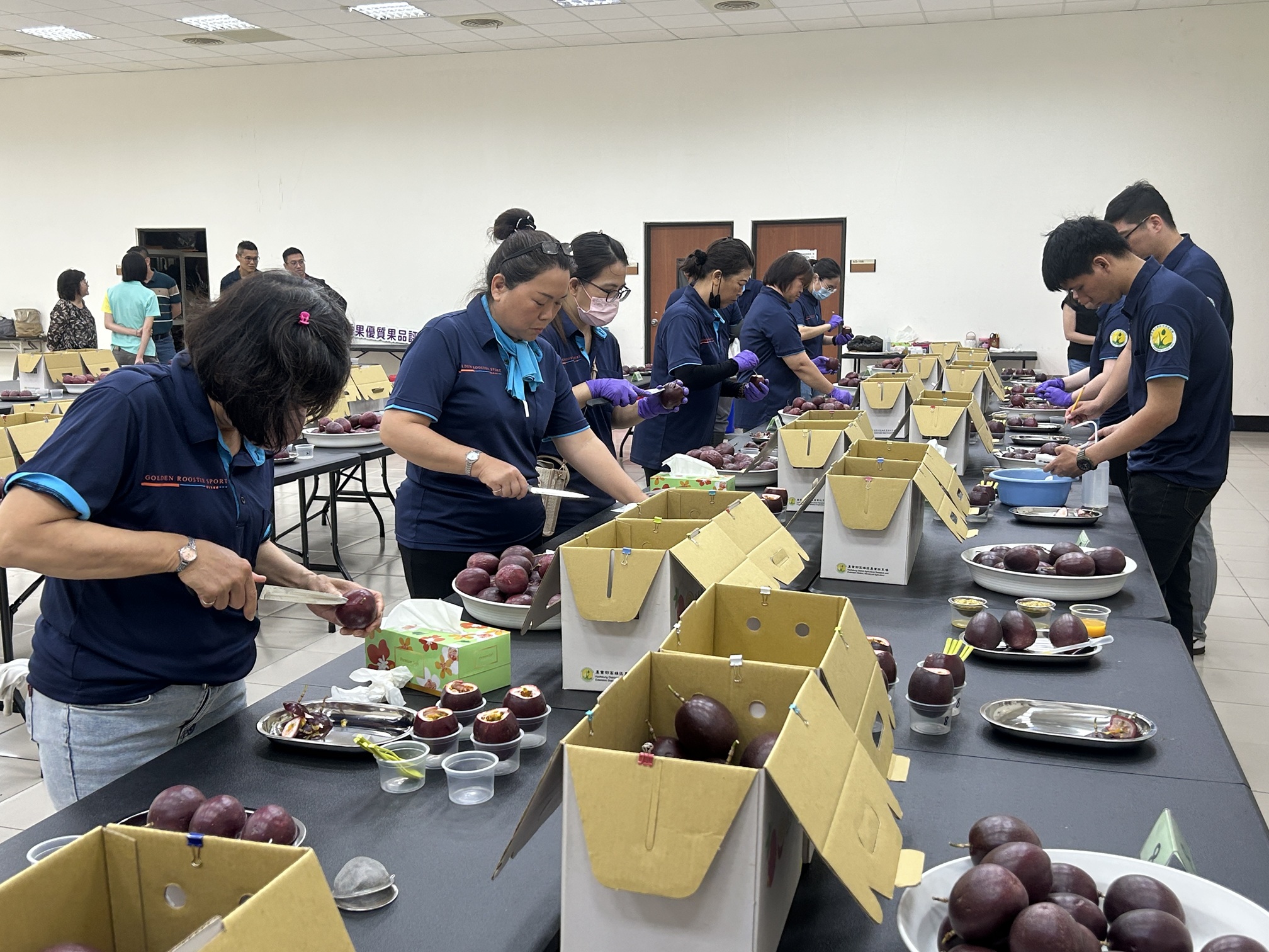 高雄農改場同仁專注協助評鑑作業