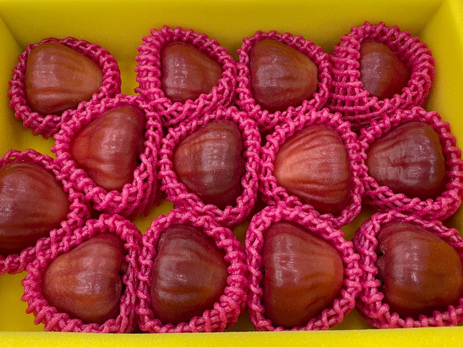 優質蓮霧參賽果品