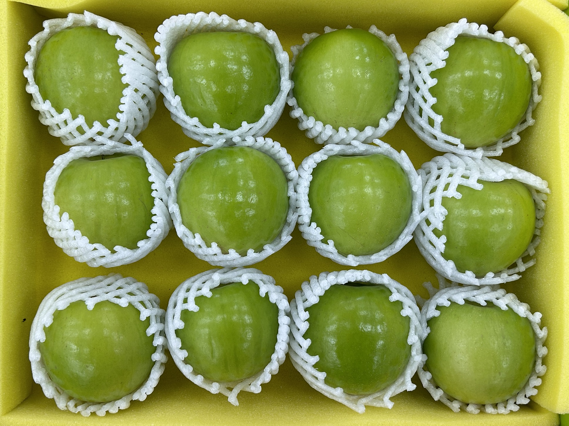 優質蜜棗參賽果品