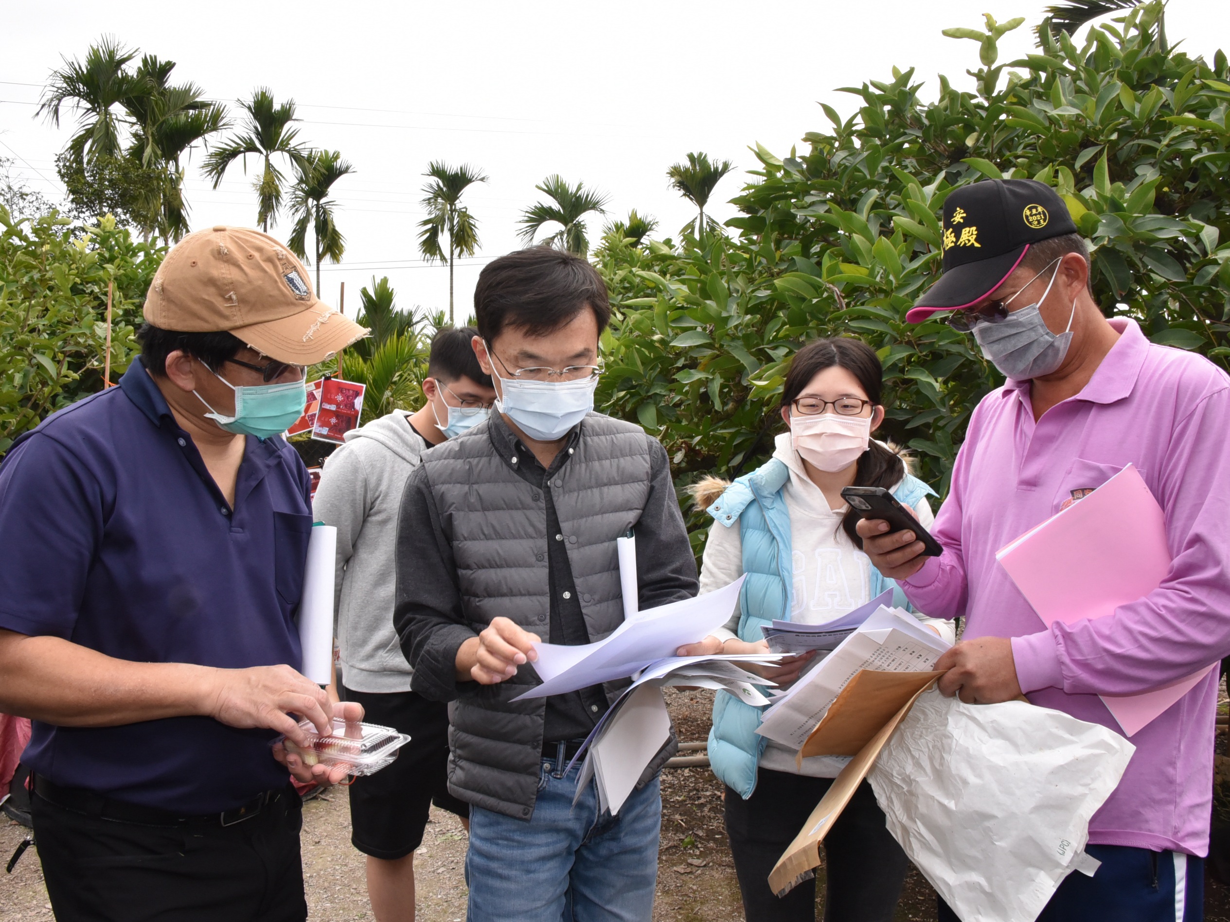果品入圍後由評鑑小組至果園進行田間管理複審