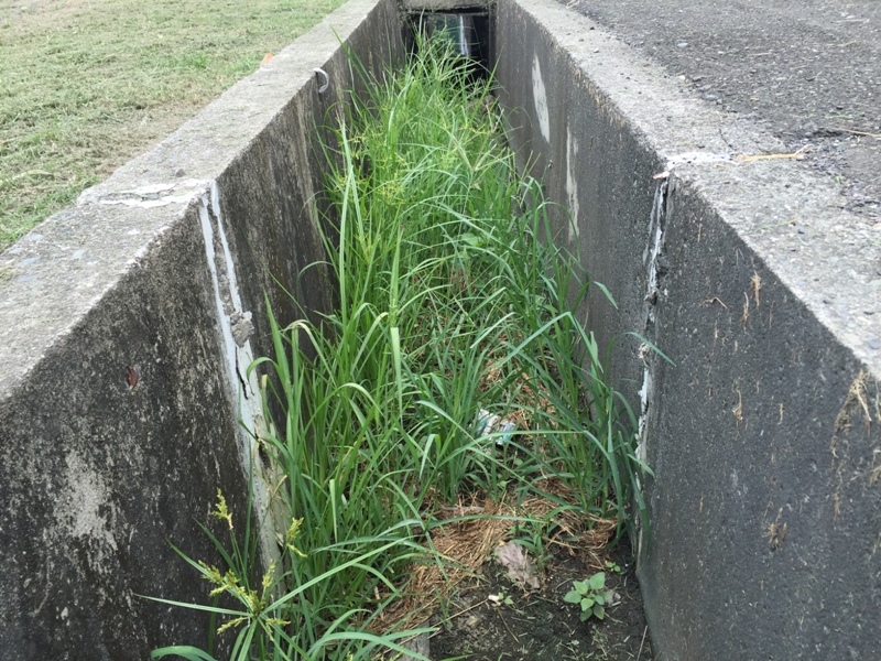 檢查排水溝，將雜草及垃圾清除避免堵塞