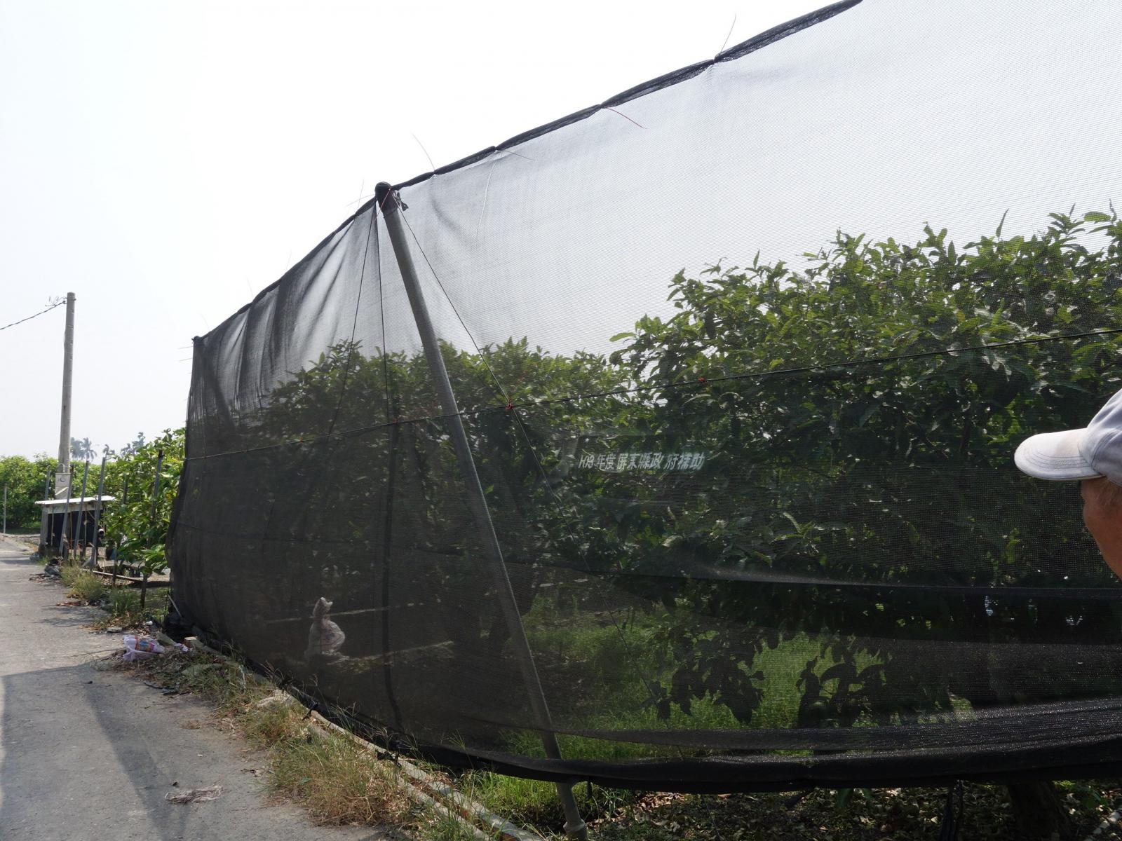 果園如有架設防風網，應確實綁縛穩固。