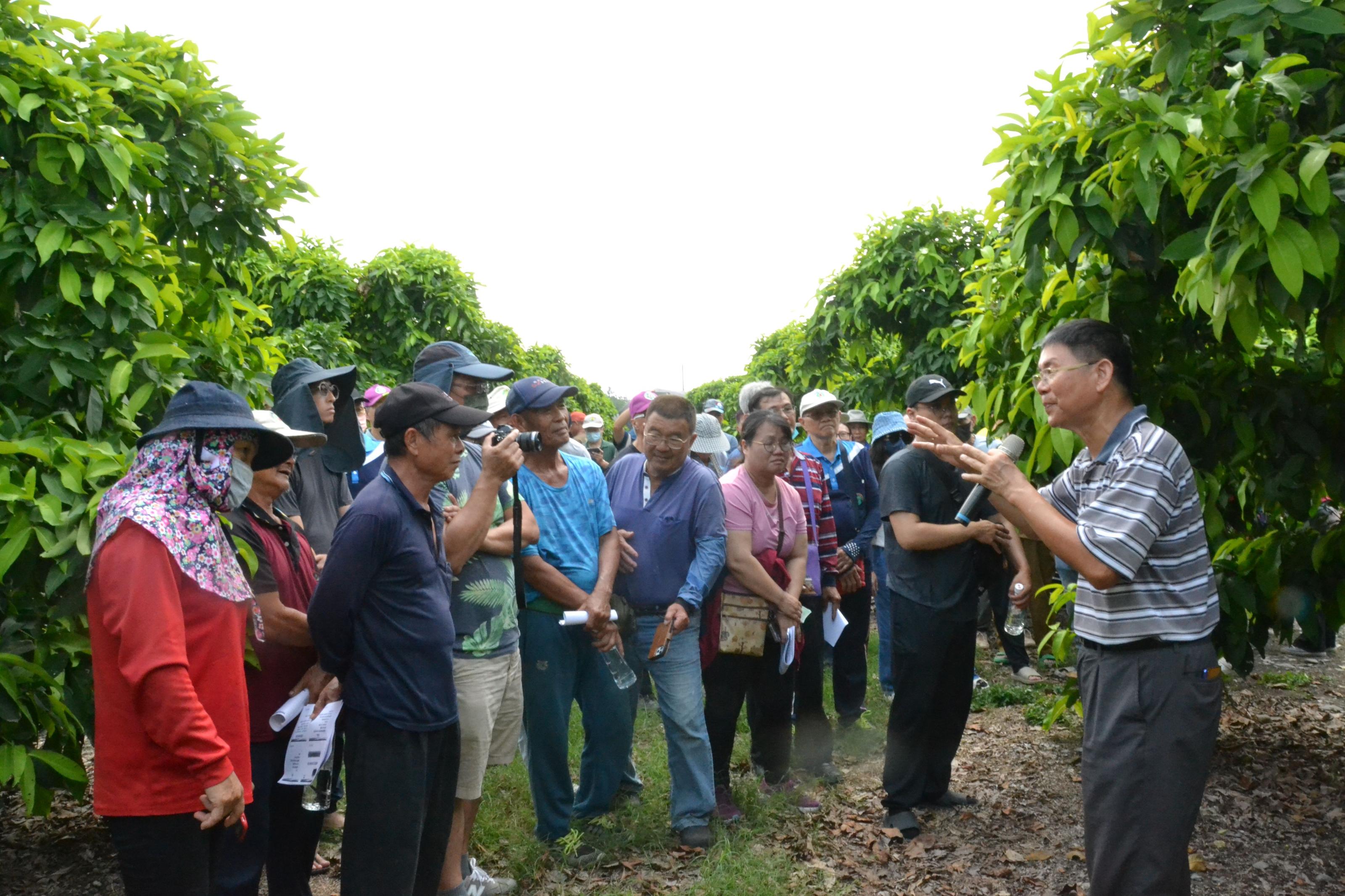 農友在田間觀摩聚精會神聽講解