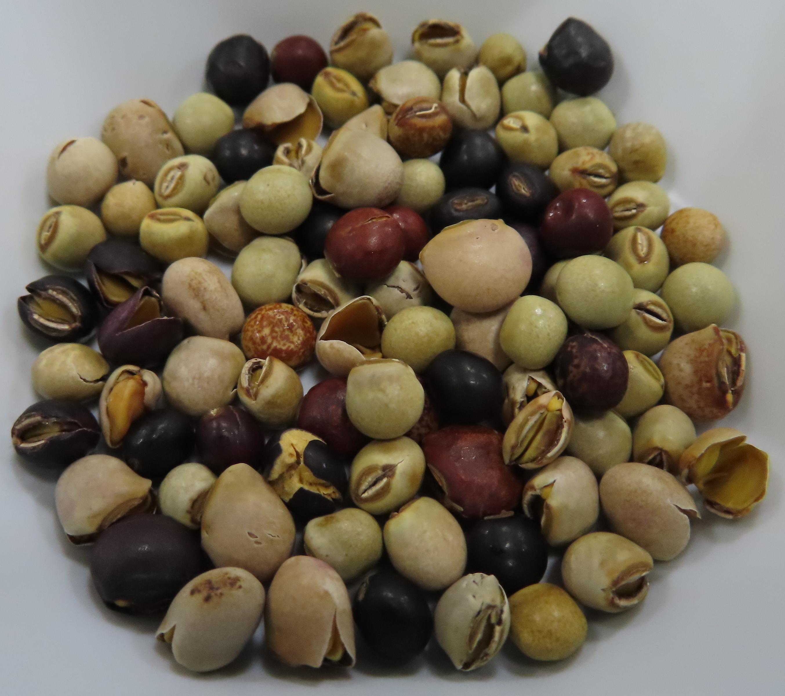 色彩豐富的樹豆烘焙零食