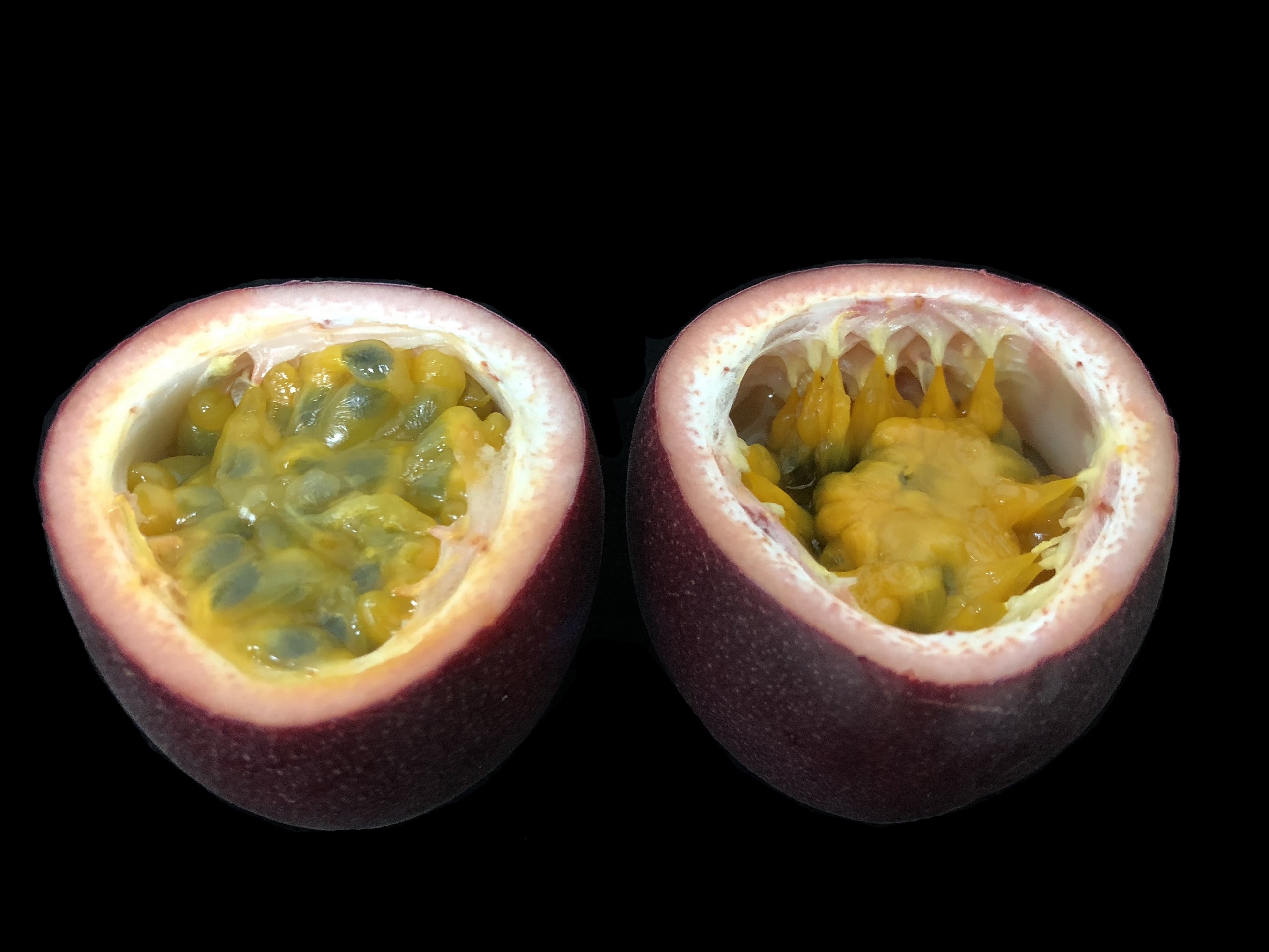 百香果果實內部飽滿(左)，撞擊後產生剝離(右)。