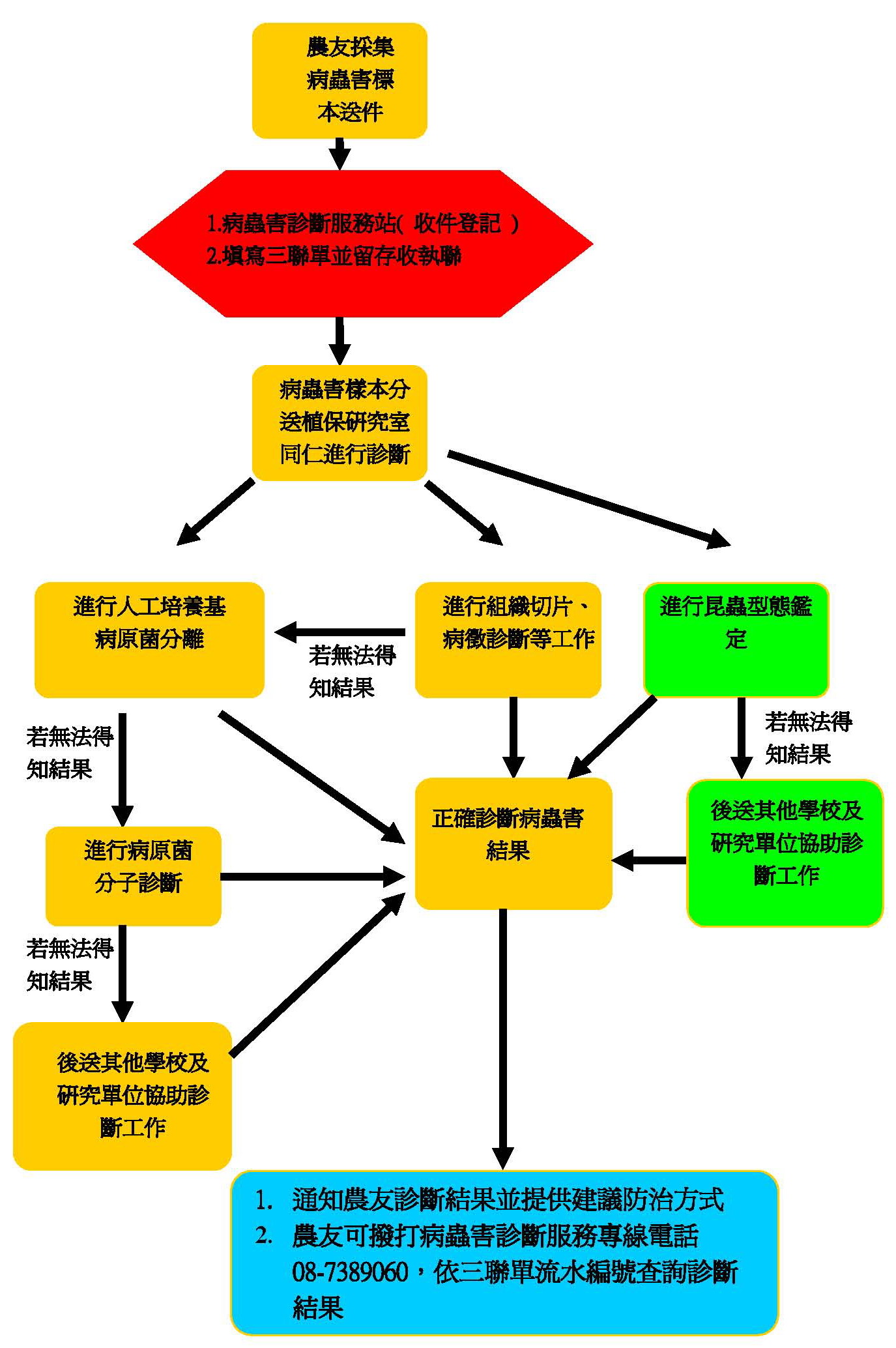 本場病蟲害診斷服務流程