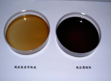 風茹萃取及濃縮後汁液