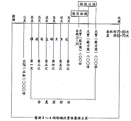 超甜玉米害蟲綜合防治