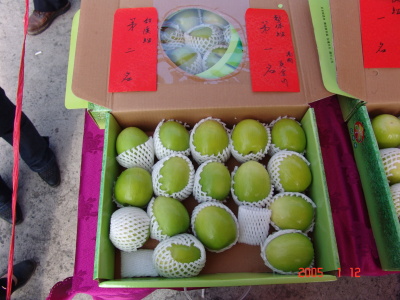 團體組第一名