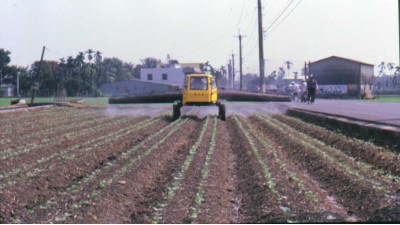 紅豆機械化生產採用氣輔桿式噴藥車噴藥情形
