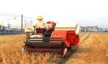 紅豆採用豆類聯合收穫機採收情形