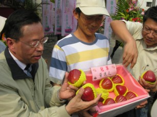 李主委（左）對黃進文農友;生產之冠軍蓮霧非常激賞