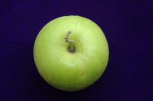 果蒂周圍凹陷寬廣且無皺摺品質佳 果蒂周圍凹陷寬廣且無皺摺品質佳