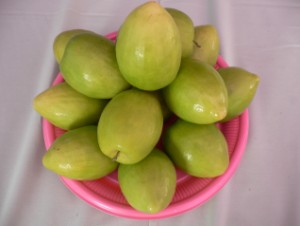 仙桃蜜棗 仙桃蜜棗