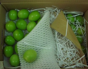 利用紙絲包裝固定,減少擦壓傷 利用紙絲包裝固定,減少擦壓傷