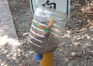 農友可自行利用保特瓶製作長效誘殺器（誘殺劑－含毒甲基丁香油可就近向所在農會洽領）