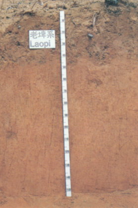 一般土壤呈紅色屬於強酸性土壤(圖摘自台灣主要土類圖輯) 一般土壤呈紅色屬於強酸性土壤(圖摘自台灣主要土類圖輯)