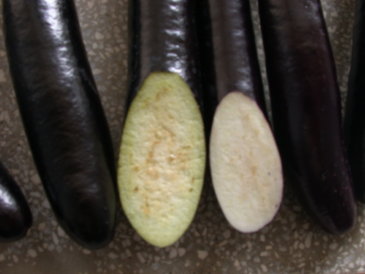 圖2.茄子果肉有綠色(左)及白色(右)之分