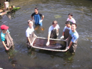 水產養殖初體驗—石斑魚養殖