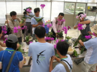 蘭花產業初體驗—蘭花組盆