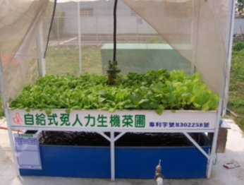 「自給式免人力生機菜圃」的外觀(左)與蔬菜生長情形(右)
