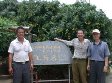 「荔枝安全生產體系」果園示範觀摩會，高雄區農業改良場黃賢良場長 (右1)與大樹鄉果樹產銷班第24班黃慶順班長(右2)、會計莊永來(左)在結實纍纍的玉荷包荔枝樹前合照。